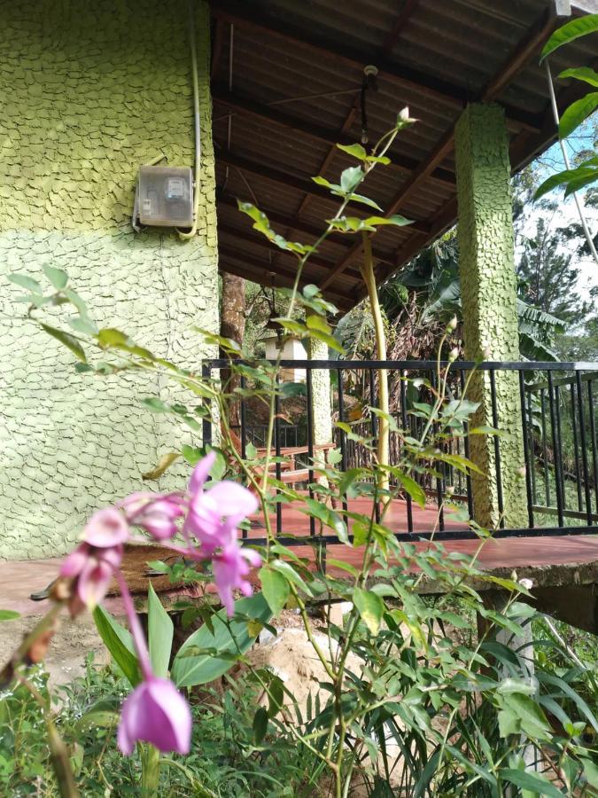 Jungle View Cottage Ella Exterior foto